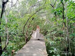 Apa Arti Prinsip Ekowisata dan Bagaimana Penerapannya?