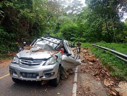 Pohon Tumbang Timpa Mobil, Pemudik Asal Empat Lawang Tewas