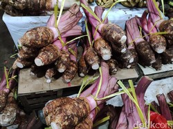 Pulang Jalan-jalan dari Bogor, Jangan Lupa Borong Talas dan Ubi Cilembu