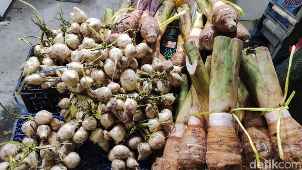 Borong Oleh-oleh Khas Bogor, Ada Talas hingga Manisan Buah