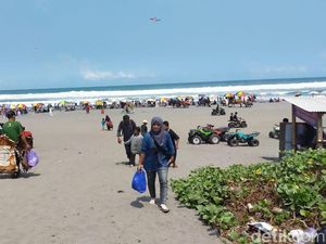 Awas Tersengat! Ubur-ubur Mulai Bermunculan di Pantai Parangtritis