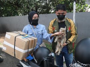 Cerita Pemudik Gendong Kucing Naik Motor 7 Jam Saat Pulang Kampung