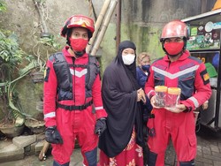 Ngeri! 4 Ekor Ular Air Muncul di Permukiman Bikin Geger Warga Makassar