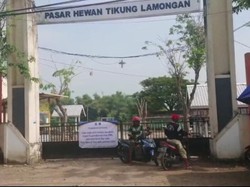 Pasar Hewan Lamongan Tutup Sementara Imbas Wabah Penyakit Mulut dan Kuku