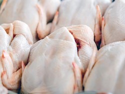 Viral! Pedagang Pompa Ayam Segar Agar Terlihat Berisi, Tuai Pro Kontra Netizen