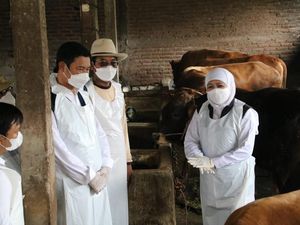 4 Kabupaten di Jatim Terjangkit Wabah PMK Diajukan Dapat Vaksin