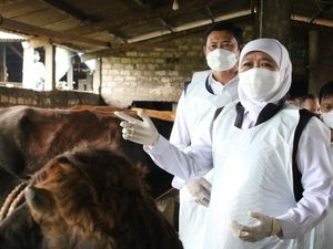 4 Kabupaten di Jatim Terjangkit Wabah Penyakit Mulut dan Kuku, Ini Ciri-cirinya 4 Kabupaten di Jatim Terjangkit Wabah Penyakit Mulut dan Kuku, Ini Ciri-cirinya