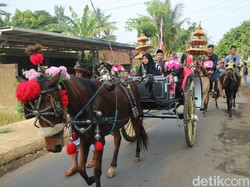 Nikah Unik di Jepara, Diarak 11 Kuda-Rombongan Bermobil Usung Lemari