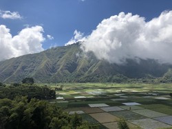 Keseruan Wisata Alam Sembalun, Petik Stroberi Sambil Selfie