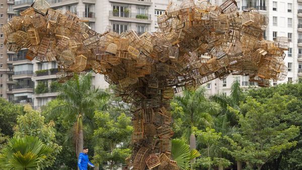 Cara Seniman Sentil Kegemaran Mengurung Hewan di Brasil