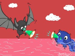 Melihat Residu Pemilu Cebong Vs Kampret Bekerja