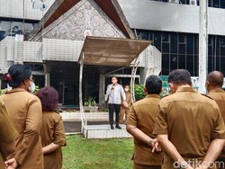 Gubsu Heran Dinding Kantor Dishut Nempel Tumbuhan: Biasanya Cicak