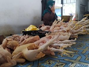 Tradisi Kupatan, Omzet Pedagang Daging Ayam di Blitar Melonjak 3 Kali Lipat Tradisi Kupatan, Omzet Pedagang Daging Ayam di Blitar Melonjak 3 Kali Lipat