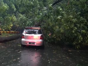 Hujan Disertai Angin Kencang Terjang Subang, Rumdin Wabup-Mobil Rusak