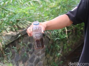 Curahan Hati Petani Tak Bisa Tanam Padi Gegara Limbah TPST Piyungan