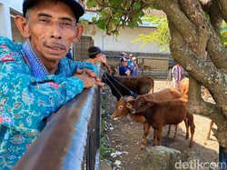 Banyuwangi Gencarkan Pengawasan Wabah PMK di Perbatasan hingga Pasar Hewan