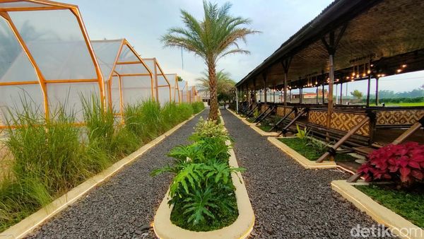 Sensasi Ngopi Estetik Nuansa Ala Timur Tengah di Garut