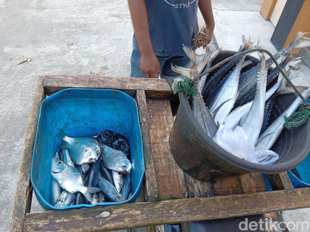 Paceklik Hasil Laut, Stok Ikan di Pelelangan Batukaras Minim