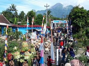 Snapshots: Ratusan Sapi Padati Jalanan di Lereng Merapi Boyolali Snapshots: Ratusan Sapi Padati Jalanan di Lereng Merapi Boyolali