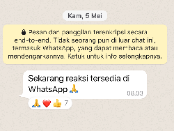 Cara Menggunakan WhatsApp Reaction, Bisa Berikan Emoji di Chat