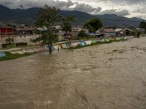 200 Rumah Terdampak Banjir di Palu 200 Rumah Terdampak Banjir di Palu