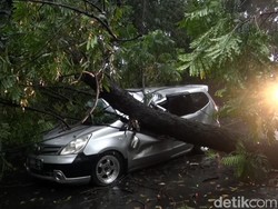Angin Puting Beliung Terjang Subang: 21 Titik Terdampak-7 Orang Luka