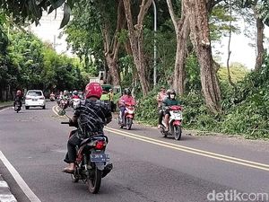 Pemkot Rapikan Pohon dan Pasang Lampu di Lokasi Remang-remang