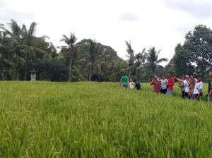 Menjelajah Ekowisata Nyambu Tabanan, Jangan Asal Sambil Lalu