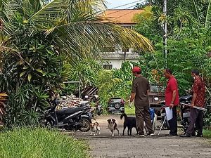 Anjing Rabies Gigit 7 Orang, Warga Dauh Peken Tabanan Ngaku Panik Anjing Rabies Gigit 7 Orang, Warga Dauh Peken Tabanan Ngaku Panik