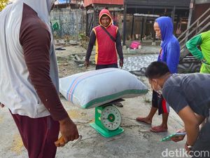 Ironi Petani Pinrang, Jual Gabah Potong 10 Kg-Dipaksa Beli Pupuk Non Subsidi Ironi Petani Pinrang, Jual Gabah Potong 10 Kg-Dipaksa Beli Pupuk Non Subsidi