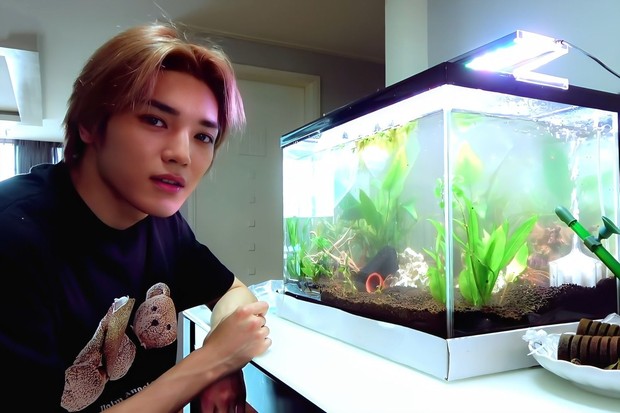 Potret Tae Yong NCT memelihara ikan sebagai self-healing