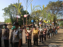Snapshots: Iring-iringan Tebu Pengantin di PG Rendeng Kudus