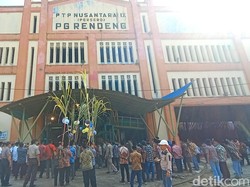 Tradisi Tebu Pengantin Digelar, Tanda Dimulainya Musim Giling di Kudus