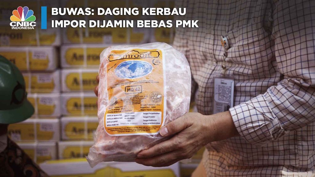 Buwas: Daging Kerbau Impor Dijamin Bebas PMK