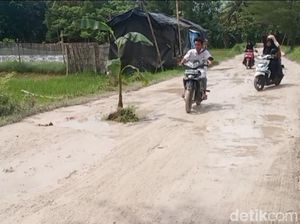 Tak Kunjung Diperbaiki, Jalan Rusak Sumenep Ditanami Puluhan Pohon Pisang Tak Kunjung Diperbaiki, Jalan Rusak Sumenep Ditanami Puluhan Pohon Pisang