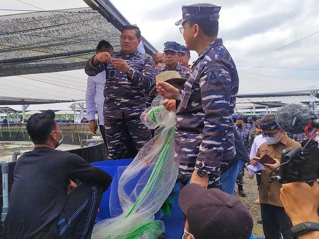 Program INAP TNI AL di Jembrana, Ciptakan Ketahanan Pangan Perikanan
