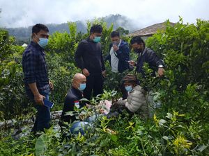 Simpan Uang Curian di Kebun Cabe-Heboh, Pria di Bangli Ditangkap