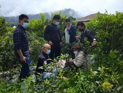 Simpan Uang Curian di Kebun Cabe-Heboh, Pria di Bangli Ditangkap