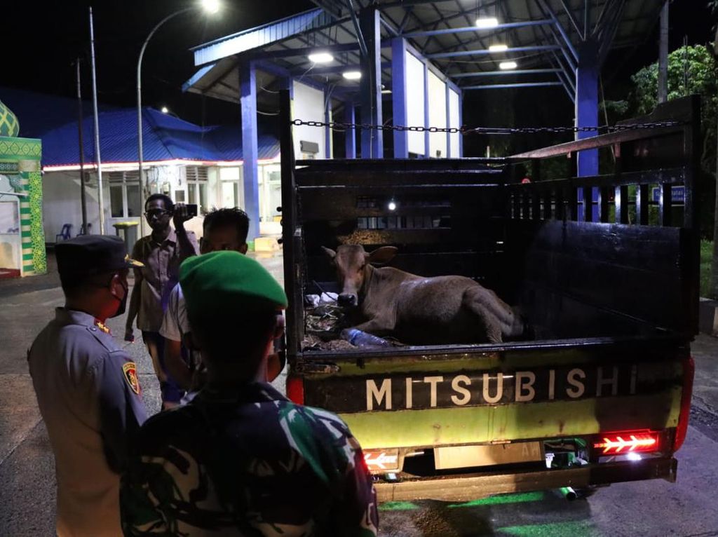 Kapolda Sumut Meminta Warga Tidak Khawatir di Hari Raya Kurban Kapolda Sumut Meminta Warga Tidak Khawatir di Hari Raya Kurban