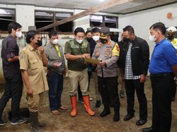 Gresik Terjangkit Wabah PMK, Ini Enam Tindakan Pencegahannya