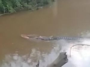 Nelayan Koltim Hilang Diterkam Buaya di Sungai, Tim SAR Masih Cari