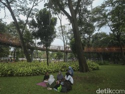 Studi: Aktivitas di Ruang Hijau Baik untuk Kesehatan Mental dan Fisik