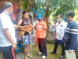 Niat Tolong Tetangga Kesakitan, Warga di Jembrana Malah Digigit Anjing