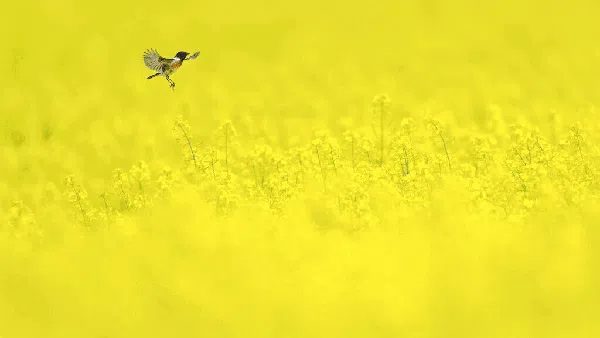 Deretan Foto-foto Ciamik di Jerman Ini Bikin Geleng-geleng Kepala