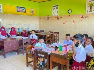 Teror Ular King Kobra di SD Parepare, Sekolah Didesak Segera Liburkan Siswa Teror Ular King Kobra di SD Parepare, Sekolah Didesak Segera Liburkan Siswa