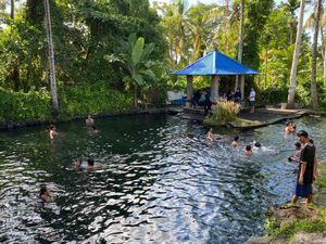 Pemandian Tirta Ujung, Sensasi Berenang di Tengah Alam Pedesaan Pemandian Tirta Ujung, Sensasi Berenang di Tengah Alam Pedesaan