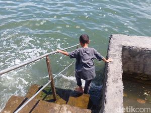 Ketika Ubur-Ubur Menginvasi Perairan Probolinggo, Nelayan Libur-Pantai Sepi Ketika Ubur-Ubur Menginvasi Perairan Probolinggo, Nelayan Libur-Pantai Sepi