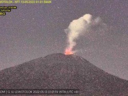 Erupsi Gunung Ili Lewotolok Melemah, Warga Diminta Tetap Waspada