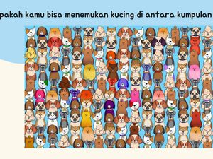 Otak Lagi lemot? Coba Main Teka-teki Memori Ini Biar Pikiran Jadi Fresh