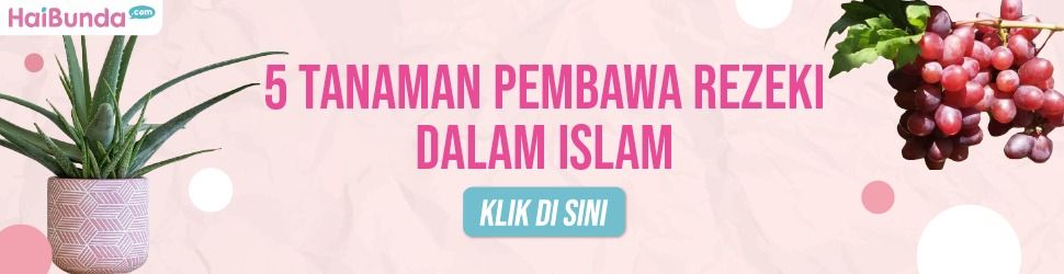 5 Tanaman Pembawa Rezeki dalam Islam